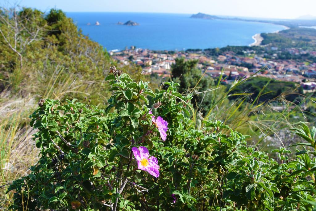 Appartamenti Da Vincenza Santa Maria Navarrese Buitenkant foto