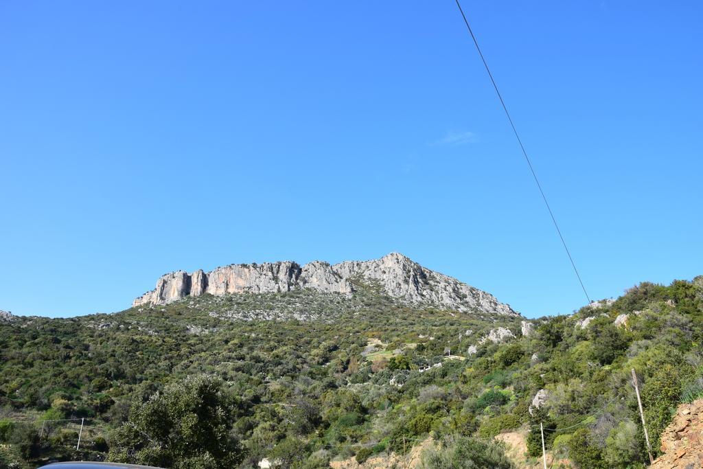 Appartamenti Da Vincenza Santa Maria Navarrese Buitenkant foto
